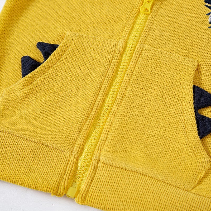 Hoodies Sweatshirts For Boys
