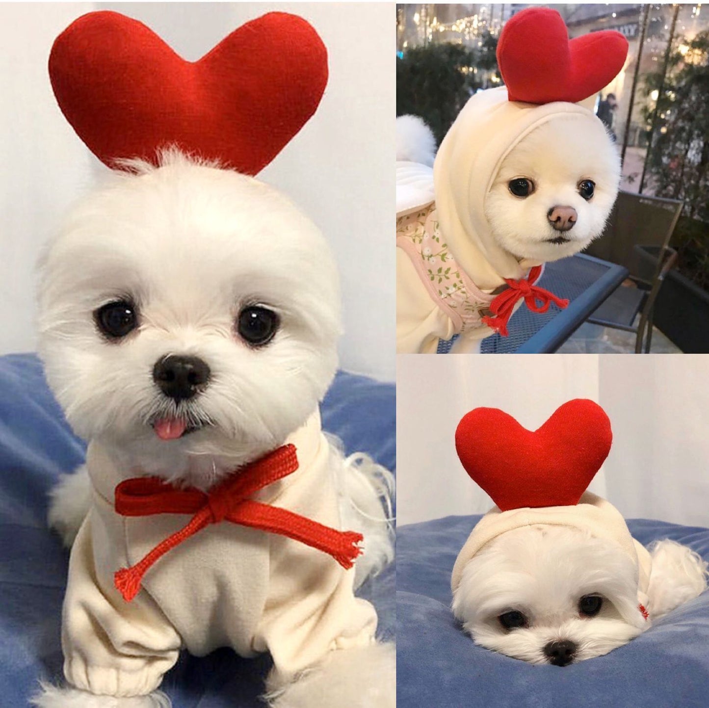 Cute Fruit Dogs Hoodies