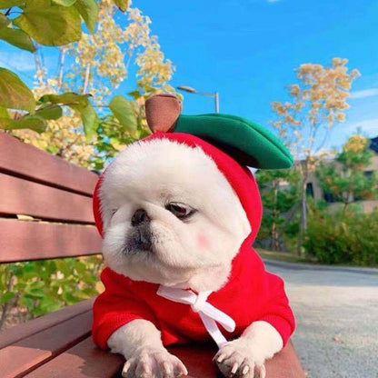 Cute Fruit Dogs Hoodies