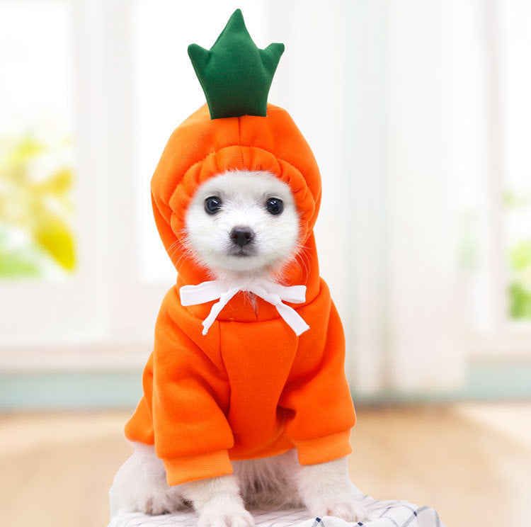 Cute Fruit Dogs Hoodies