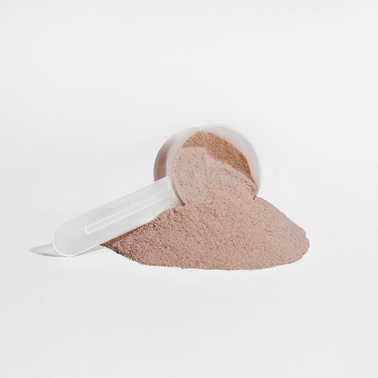 Plant Protein Chocolate 21g Weight Digestive Support