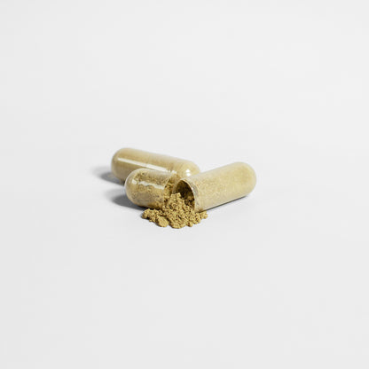 Premium Moringa Pure Superfood Energy Wellness