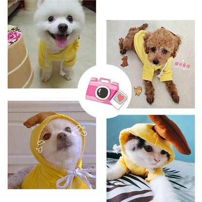 Cute Fruit Dogs Hoodies