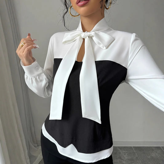 Elegant Fashion Long Sleeve Shirt
