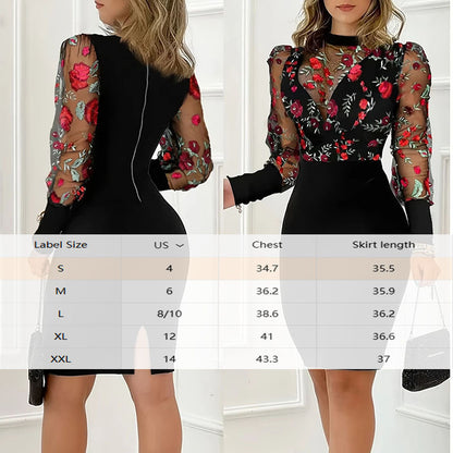 Elegant See Through Bodycon Dress
